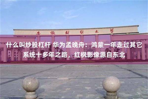 什么叫炒股杠杆 华为孟晚舟：鸿蒙一年走过其它系统十多年之路，红枫影像源自东北