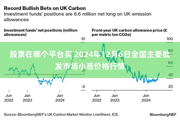 股票在哪个平台买 2024年12月6日全国主要批发市场小葱价格行情