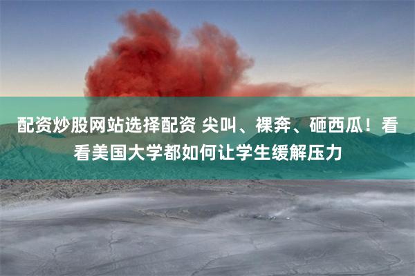 配资炒股网站选择配资 尖叫、裸奔、砸西瓜！看看美国大学都如何让学生缓解压力