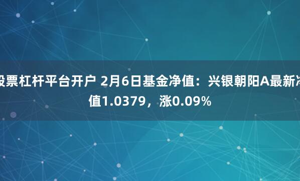 股票杠杆平台开户 2月6日基金净值：兴银朝阳A最新净值1.0379，涨0.09%