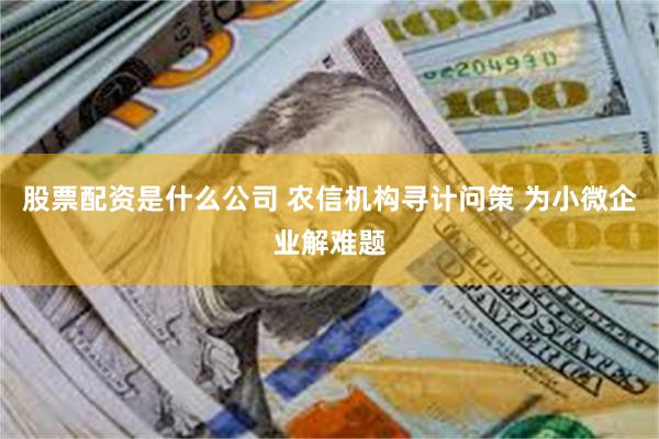 股票配资是什么公司 农信机构寻计问策 为小微企业解难题