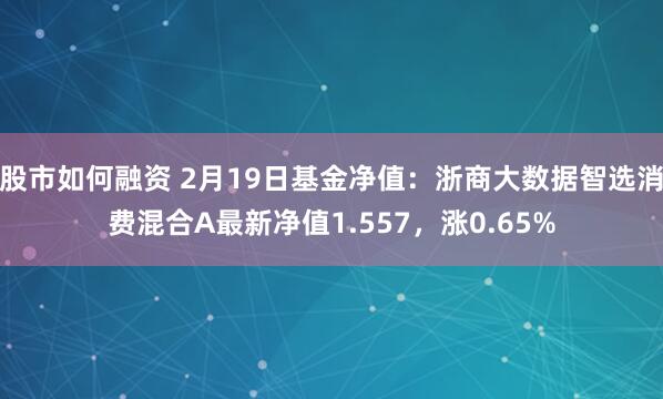 股市如何融资 2月19日基金净值：浙商大数据智选消费混合A最新净值1.557，涨0.65%