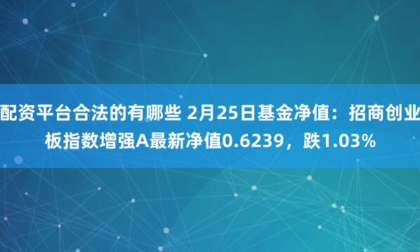 配资平台合法的有哪些 2月25日基金净值：招商创业板指数增强A最新净值0.6239，跌1.03%